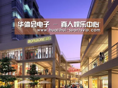案例展示一(图1)