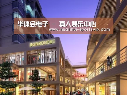 案例展示一