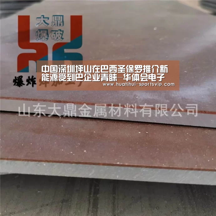 中国深圳坪山在巴西圣保罗推介新能源受到巴企业青睐-华体会电子(图1) 华体会棋牌游戏